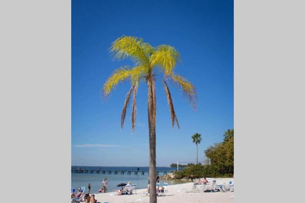 Bay View, Studio206, Beach Steps Away! Pool+Wifi Ruskin Exteriér fotografie